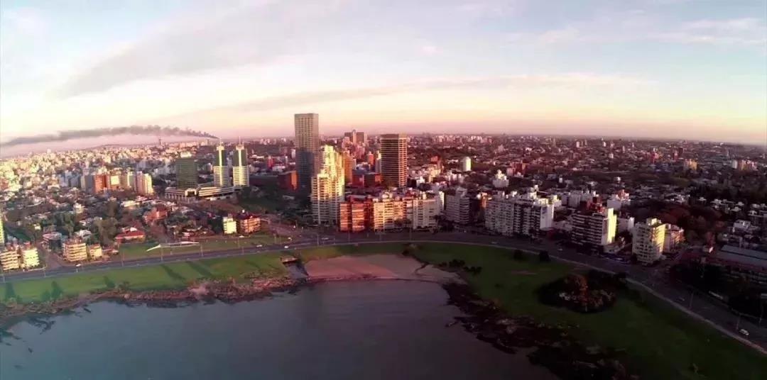 1548314947728815.jpg 2.jpg