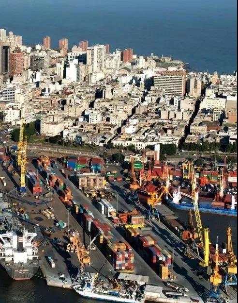 1548315034957588.jpg 7.jpg